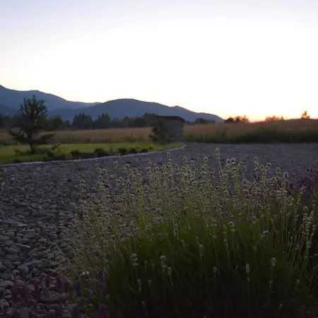 Czarny Dzial Penzion Wysowa-Zdrój