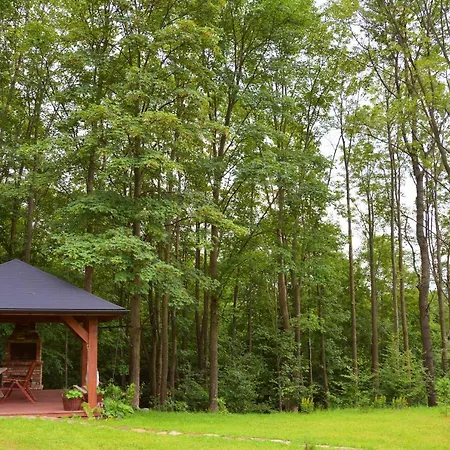 Czarny Dzial Guest house Wysowa-Zdroj