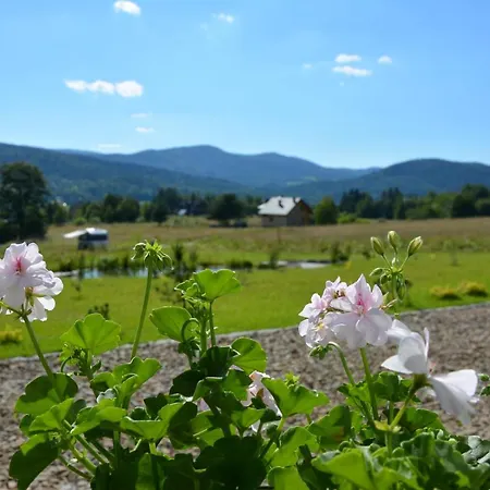 Maison d'hôtes Czarny Dzial Wysowa-Zdrój