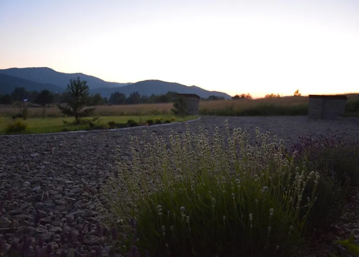 Czarny Dzial Konukevi Wysowa-Zdrój