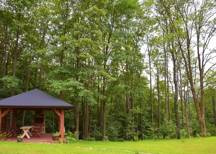 Czarny Dzial Konukevi Wysowa-Zdrój