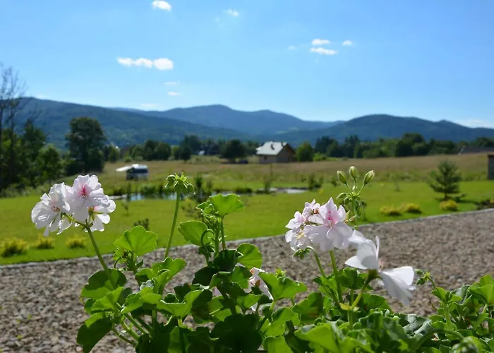Konukevi Czarny Dzial Wysowa-Zdrój